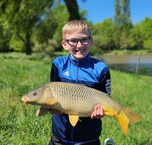 Common Carp