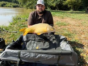Mirror Carp