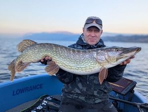 Northern Pike