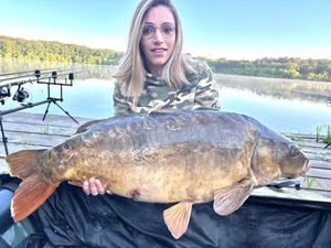 Mirror Carp