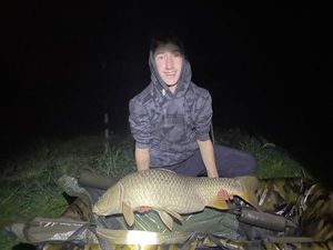 Common Carp