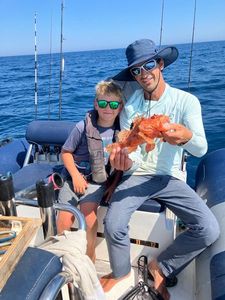 Red Scorpionfish