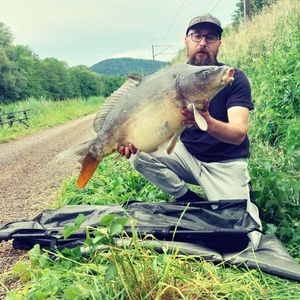 Mirror Carp