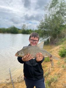 Common Bream