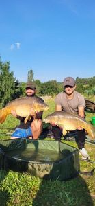 Mirror Carp
