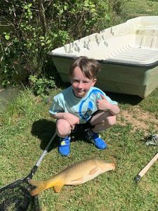 Common Carp