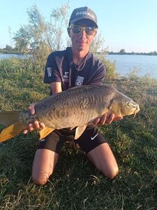 Mirror Carp