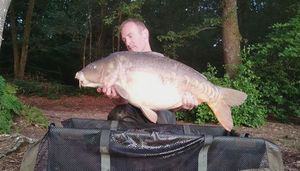 Mirror Carp