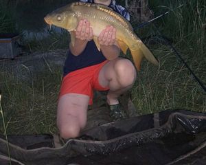 Mirror Carp