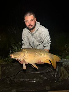 Mirror Carp