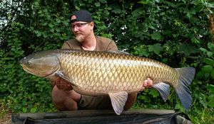 Grass Carp