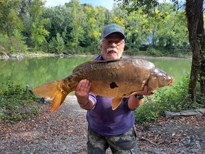 Mirror Carp