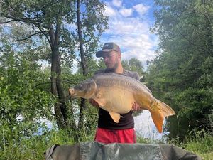 Mirror Carp