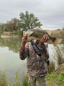 Smallmouth Bass