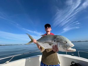 Crevalle Jack