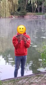 Common Bream