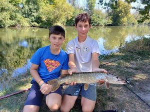 Northern Pike