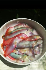 Pearly Razorfish