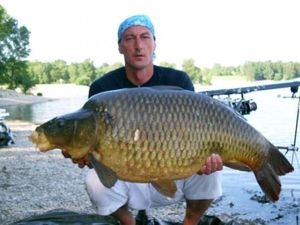 Common Carp