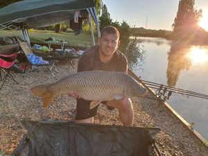 Common Carp