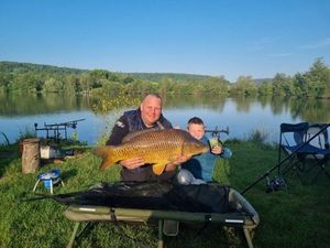 Common Carp