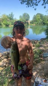 Largemouth Bass