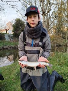 Northern Pike