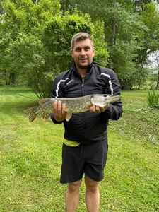 Northern Pike