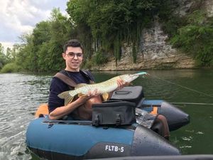 Northern Pike