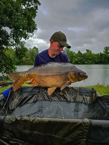 Mirror Carp