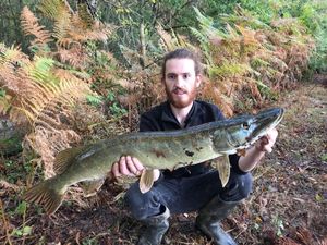 Northern Pike