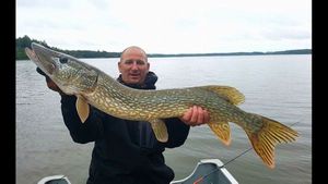 Northern Pike