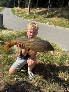 Silver Carp