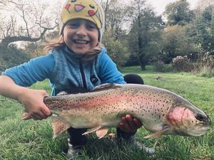 Rainbow Trout