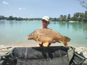 Mirror Carp