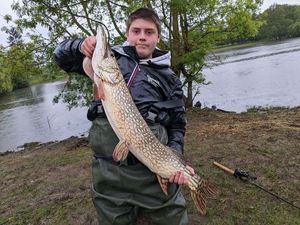 Northern Pike
