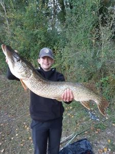 Northern Pike