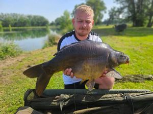 Mirror Carp
