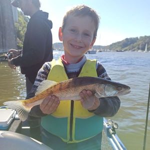Zander