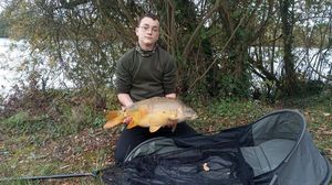 Mirror Carp