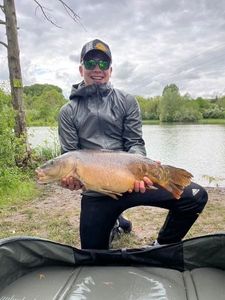 Mirror Carp