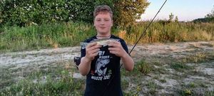 Zander