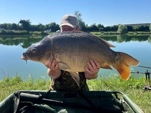 Mirror Carp