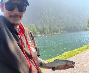 Rainbow Trout