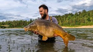 Mirror Carp