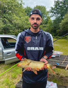 Common Carp
