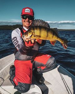 European Perch