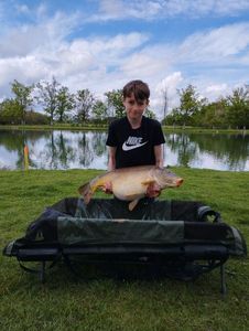 Mirror Carp