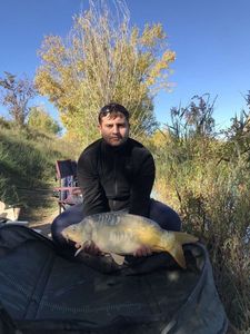 Mirror Carp