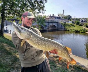 Northern Pike